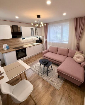 Apartment R&L Lazovná 2 - old town and parking